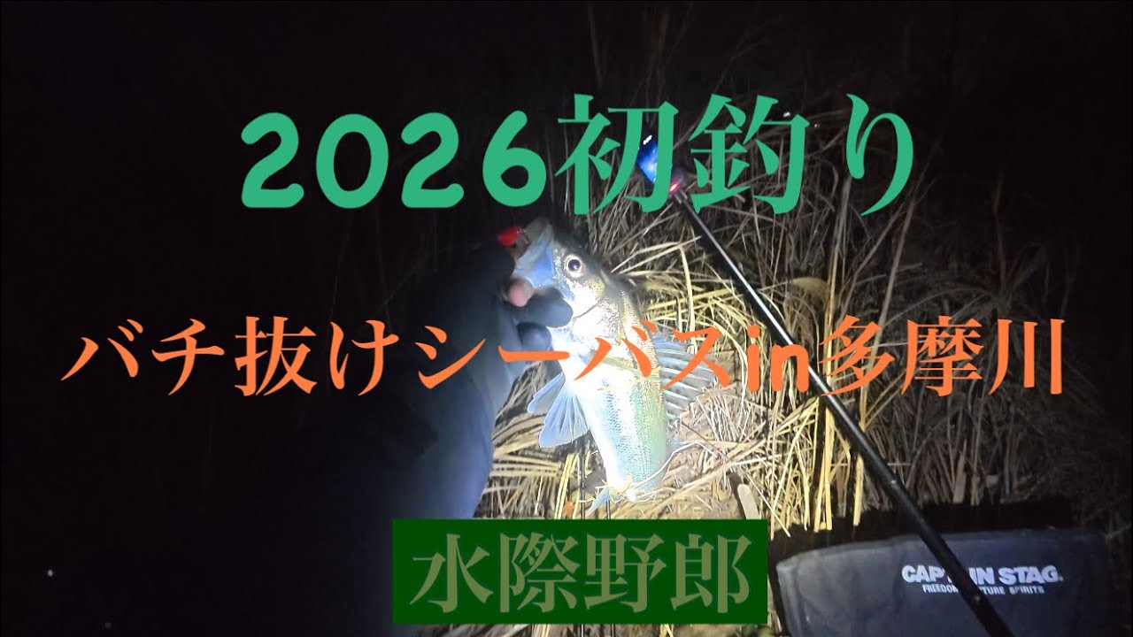2026新年1発目の釣りはシーバス釣り！簡単！？バチ抜けシーバスの釣り方。【多摩川】