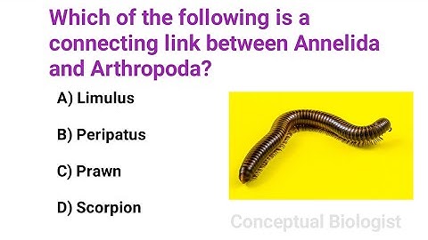 20 Important Biology MCQs (Zoology + Botany) 🔥 NEET, MDCAT, FSc Long Video