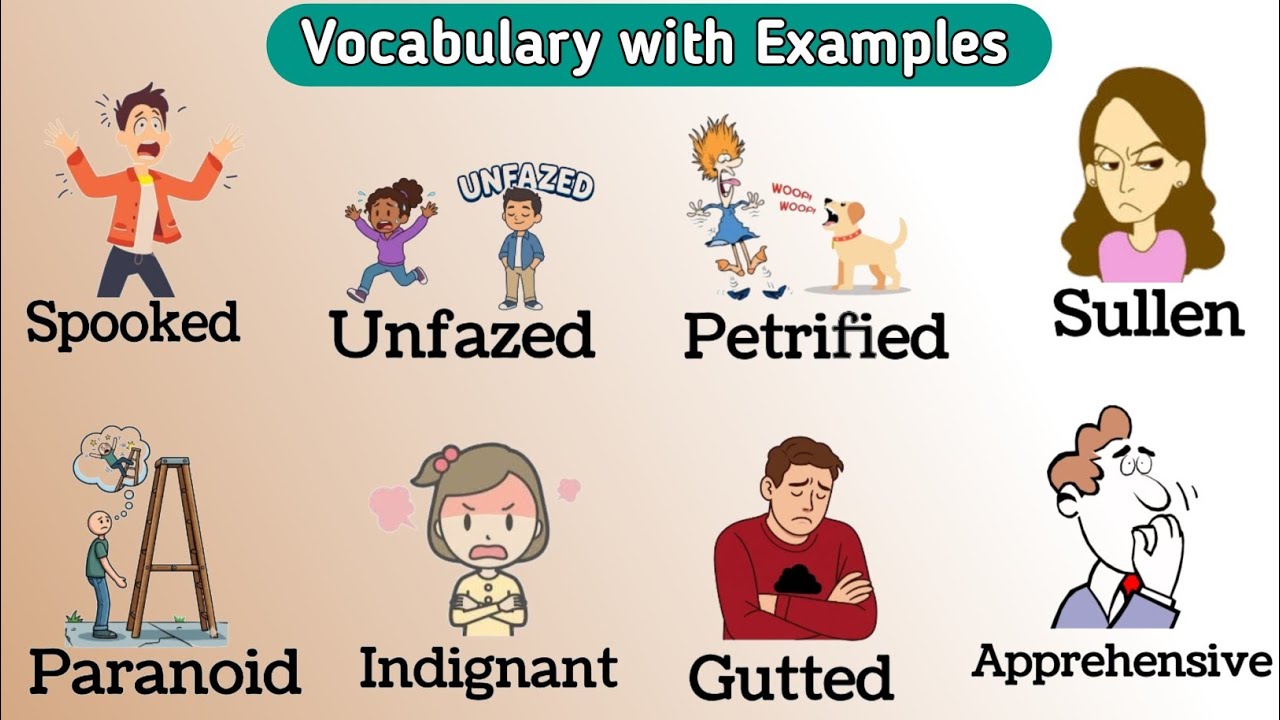 Vocabulary with examples | Advanced English Words - YouTube