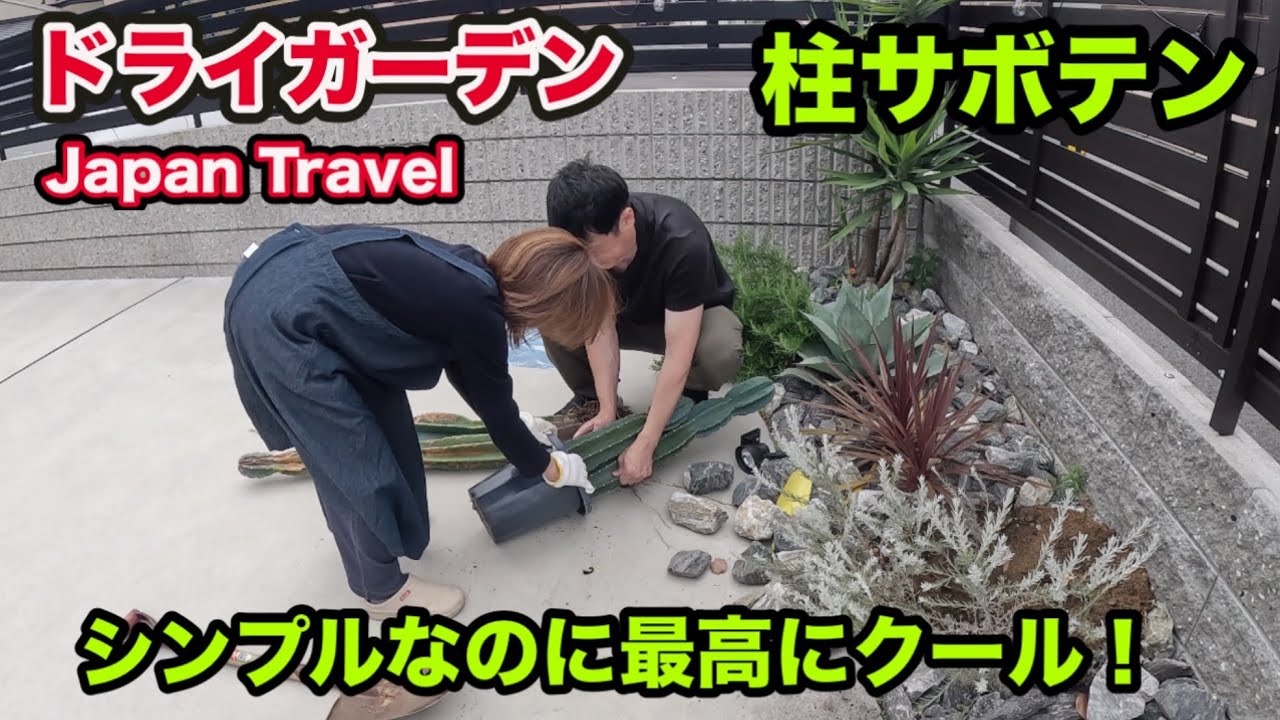【ドライガーデン】柱サボテン簡単植え替え🌵 シンプルなのに最高にクール❗️