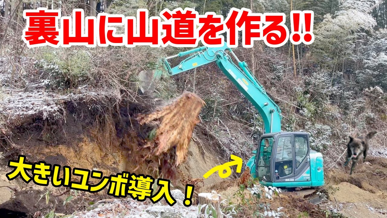 【with米農家さん】裏山道路開通 -We made a path through the mountain behind.-