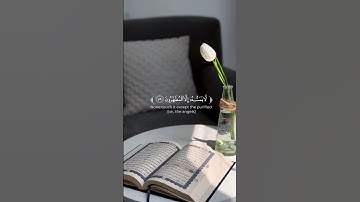 سوره الواقعه بصوت الشيخ شريف مصطفى