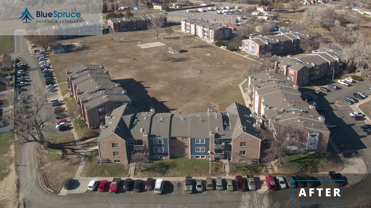 Cottonwood View Blue Spruce