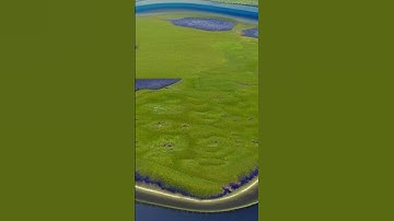 Mangrove Biodiversity Assessment Using UAV Lidar and Hyperspectral Data in China’s Pi... | RTCL.TV