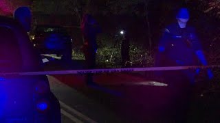 Cyclist hit and killed by driver