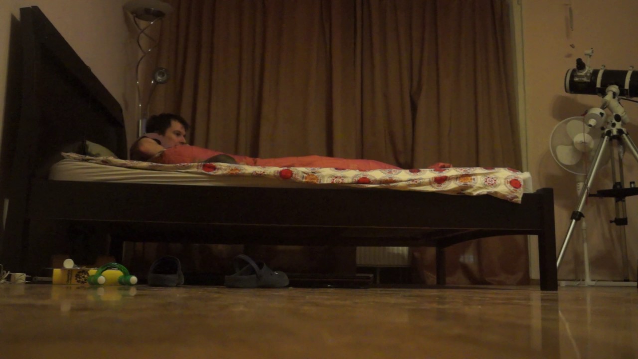 Chinchilla jumping YouTube