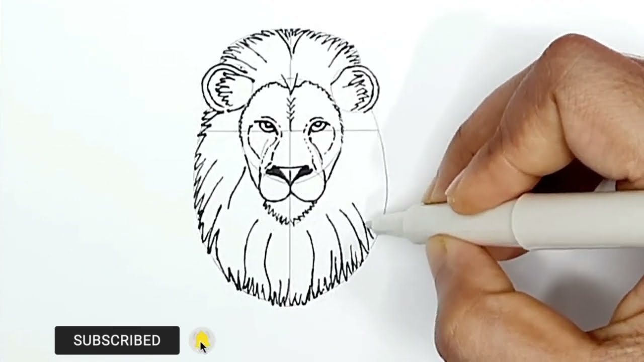 How to Draw Lion Face & Head Step by Step - EasyDrawingTips