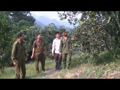 Video Hiệu quả mô hình câu lạc bộ tái hòa nhập cộng đồng ở... - youtube