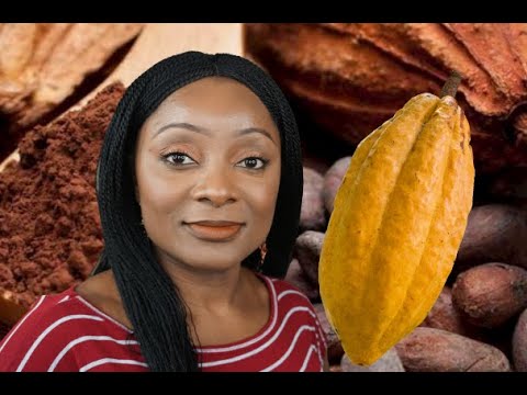 Vidéo: Propriétés Utiles De La Poudre De Cacao