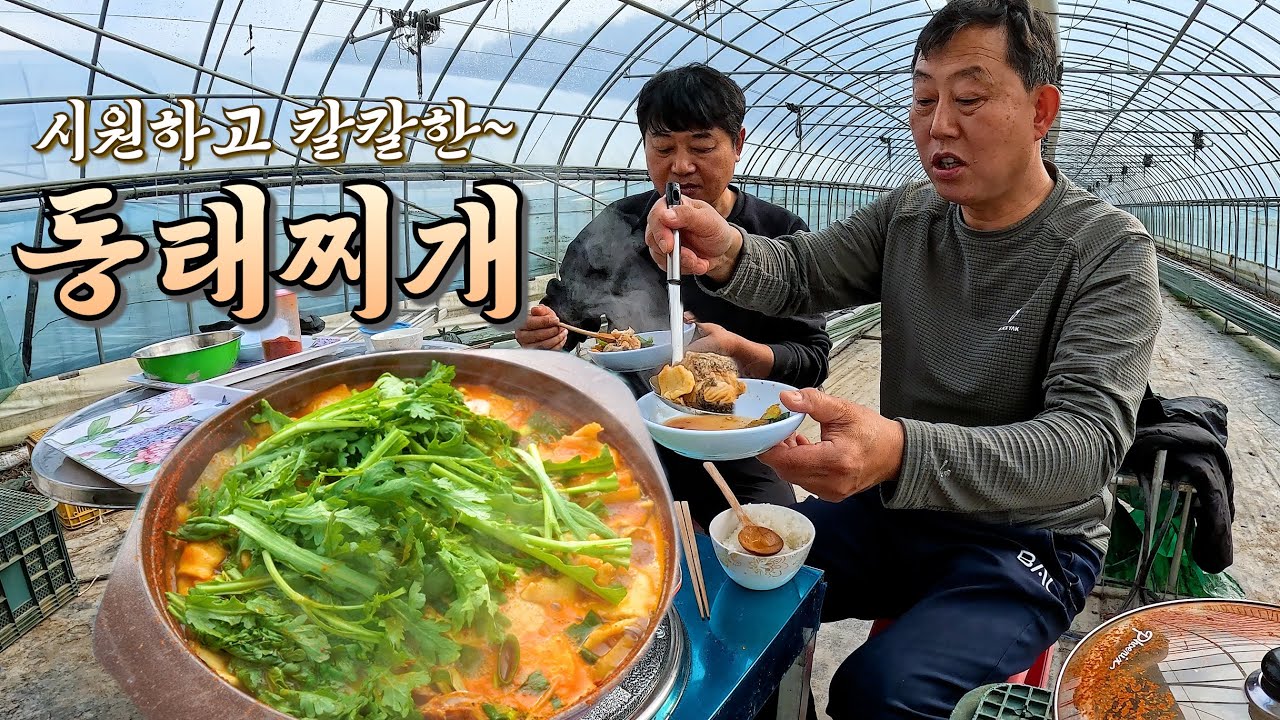 수제비를 듬뿍 넣은 시원하고 칼칼한 동태찌개 먹어요