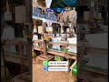 Open Mouth Bag Filling Machine | Automatic Bagging & Powder Packaging System | GLZON