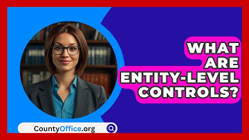 What Are Entity-level Controls? - CountyOffice.org