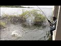 Awesome 🎣 Fish Hunting Big Rohu 🐟 Fishes catching 07Hook used rice Brown Powder to catch in