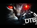 Excision & Downlink - Robo Kitty