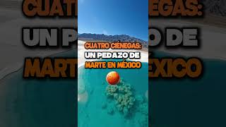 La NASA estudia un desierto de Coahuila porque se parece a Marte #CuatroCiénegas #Coahuila