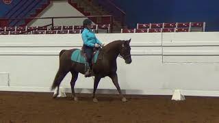 Judges Perspective WDAA Level 2, test 3 - 72.833%