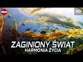 ZAGINIONY ŚWIAT: Balans życia | Lektor PL | Full HD | Film dokumentalny | Film przyrodniczy | IMAX