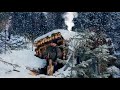 Survival in the Wild Forest is Over: a Small log Shelter has Become a Cozy Hut