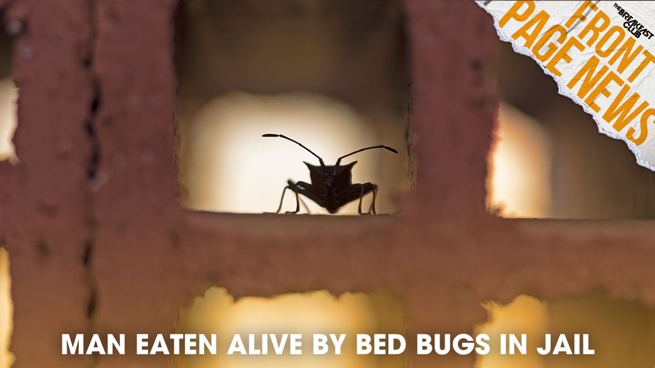 Man Eaten Alive By Bed Bugs In Jail, Biden Takes Action On Child Care +More