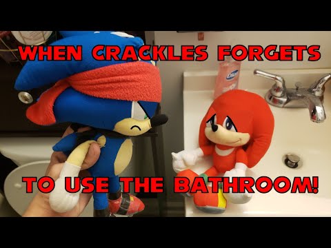 Sonic Plush: When Crackles Forgets To Use The Bathroom!