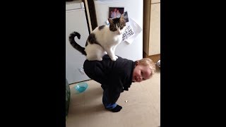 Приколы Смешные коты и кошки 2018 | ТЕСТ НА ПСИХИКУ, ПРОБУЙ НЕ СМЕЯТЬСЯ! Приколы Смешные коты и кошки 2018 | ТЕСТ НА ПСИХИКУ, ПРОБУЙ НЕ СМЕЯТЬСЯ!