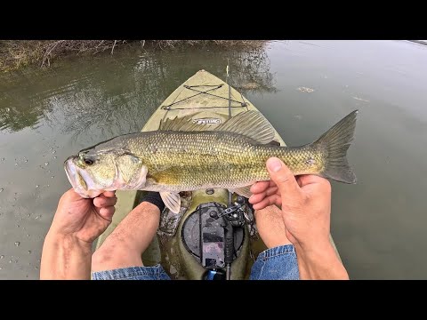 bass fishing fresno