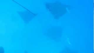 MVI 1499