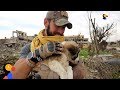 Soldier Saves Puppy Then Realizes He Can't Live Without Her | The Dodo