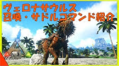 Ark フォーカル チリ