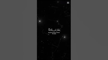 القران الكريم #المصحف #راحة_نفسية #الرحمن