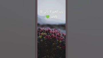 القرآن الكريم/ تلاوة خاشعة/ تلاوة القرآن الكريم/ ترتيل / الترتيل / لا تحزن
