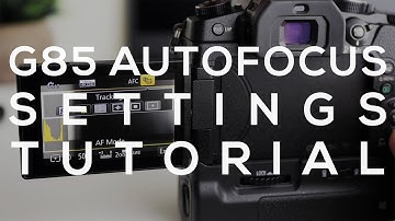 Panasonic G85 Autofocus Setup - 1 Area, 49 Area, Tracking  // Lumix 25 1.7 Autofocus Test