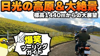 🔰【爆笑ツーリングガイド】いつもの林道部で日光の高原と大絶景を満喫してきたぞ！霧降高原、六方沢展望台 、もみじライン #OGAチャンネル