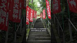 Chichibu, la campagne aux portes de Tokyo 