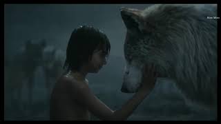 Orman Çocuğu  Mowgli Sürüden Ayrılıyor  Klip 3 10 HD