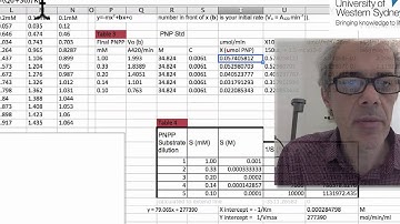 Quick Guide to Calculating Enzyme Activity