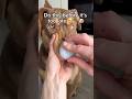 Comment “PAWS” and we’ll send you the link, or find it in our bio. 🫶 #DogMom #DogDad #petmemoriesのサムネイル