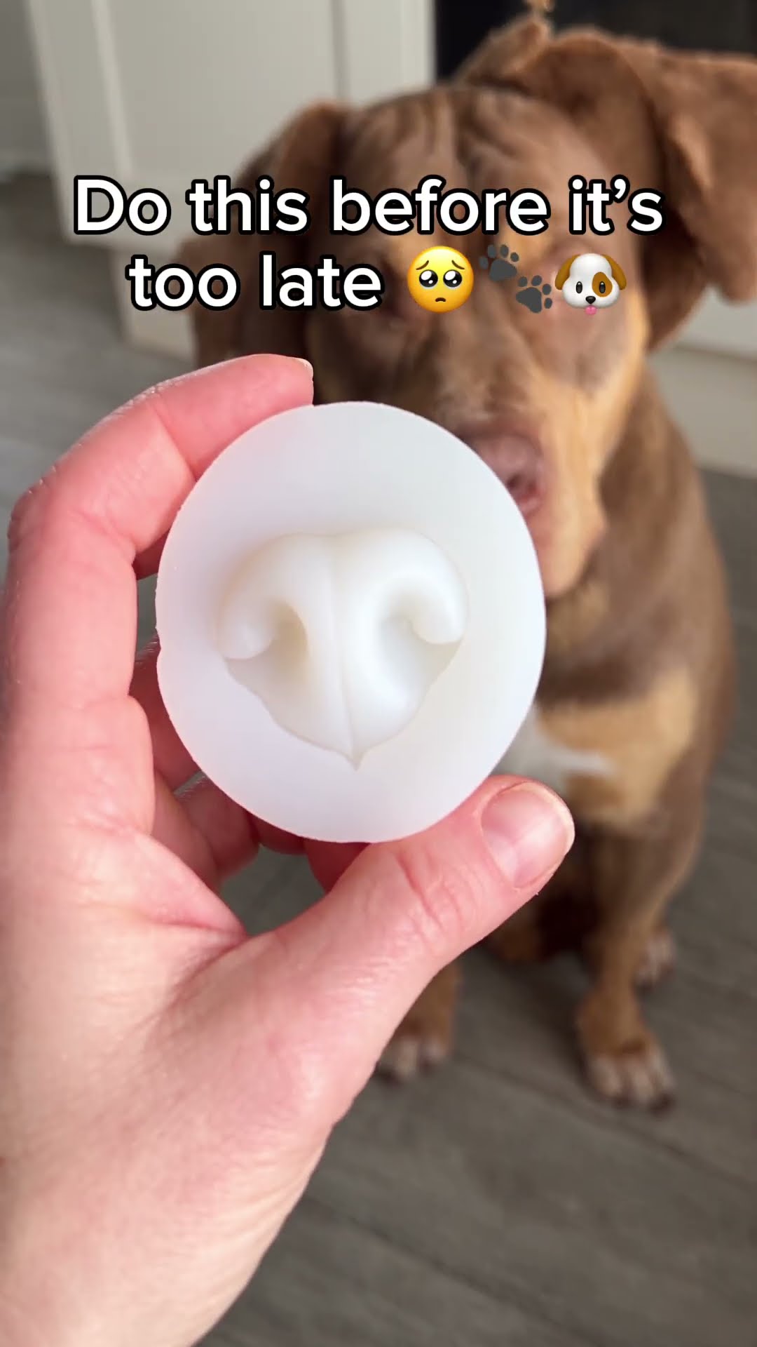 Comment “PAWS” and we’ll send you the link, or find it in our bio. 🫶 #DogMom #DogDad #petmemories