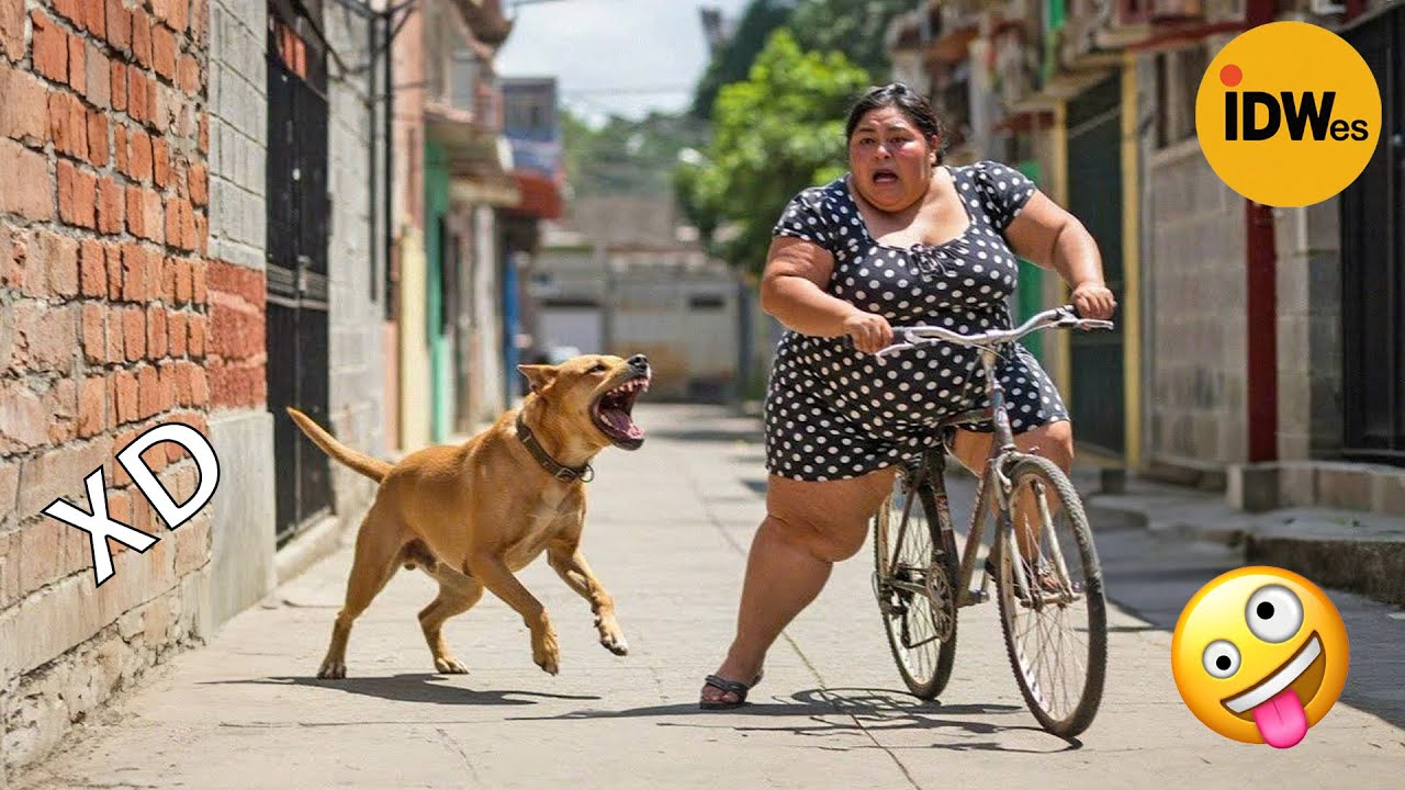 SI TE RÍES PIERDES NIVEL DIOS #356 🤣 TOP 100 VIDEOS MÁS DIVERTIDOS DE TODOS LOS TIEMPOS