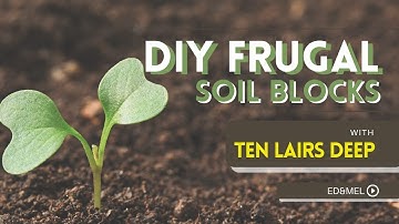 Another Way to Plant SEEDS | DIY Soil Block | Zone 3 Flower Farm | Ten Lairs Deep