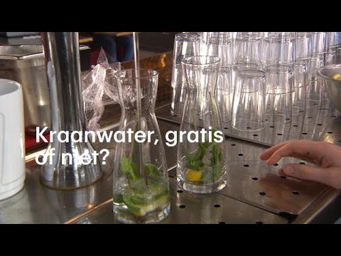 Video: Wat Is Het Verzamelen Van Kurk In Een Restaurant?