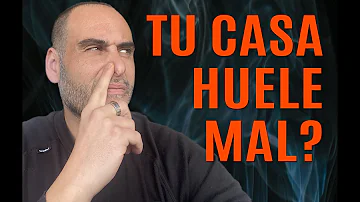 ¿Cuál es la forma más sana de hacer que tu casa huela bien?