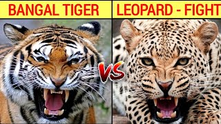 Bengal Tiger Vs Leopard Fight In Hindi Ll Bangal Tiger And Leopard Comparison