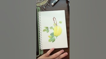 #shorts | Hướng dẫn vẽ quả khế màu nước