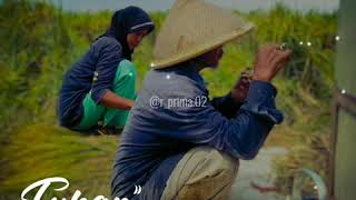 #AyahIbu #Sayang #OrangTua ||Story WA kekinian