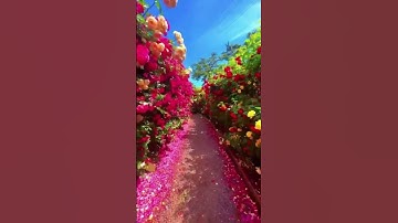 #سورة_التوبة #ايات_قرانيه_قصيره #shayari #shots #shotsyoutube #shots_video