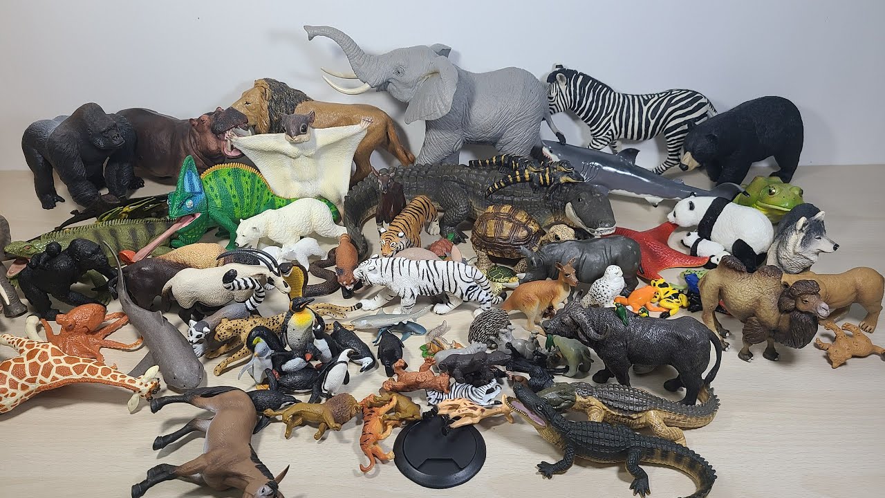 Tổng Hợp Mô Hình Động Vật Hoang Dã Chính Hãng | ToyKVT