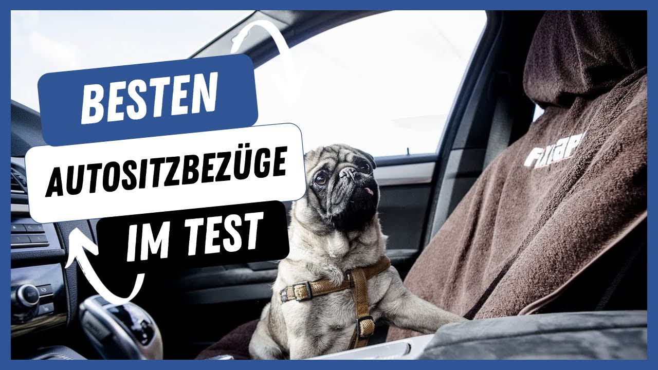 ⚡️Die besten Autositzbezüge im Test 2023 - (Top 5) 