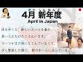 【Japanese Podcast】April in Japan: New Suits, New Schools, New Beginnings｜新年度