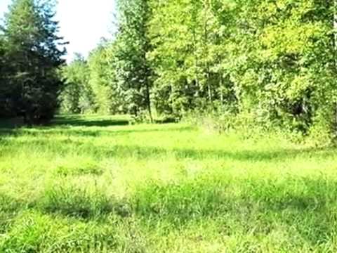 400 Boiling Springs Rd, Vonore, TN home video tour